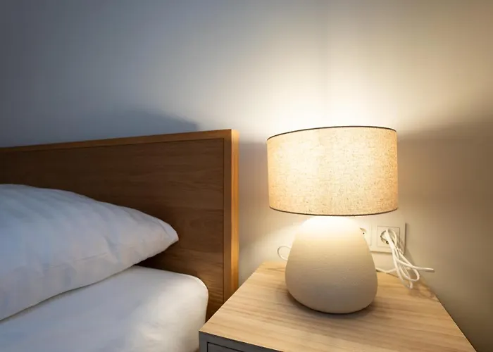Appartement Chic 94m2 With A King-size Bed Vienne